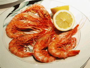 red shrimps from Alicante. Car Hire Alicante